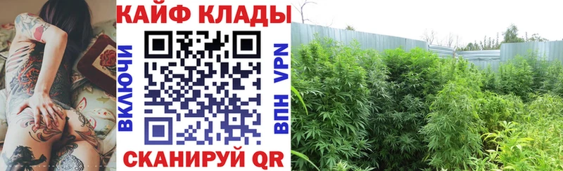 Названия наркотиков Гремячинск АМФ  kraken ссылки  Мефедрон  ГАШИШ  КОКАИН  Каннабис  Галлюциногенные грибы 