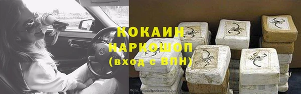 ПСИЛОЦИБИНОВЫЕ ГРИБЫ Белокуриха