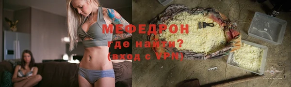 индика Костерёво