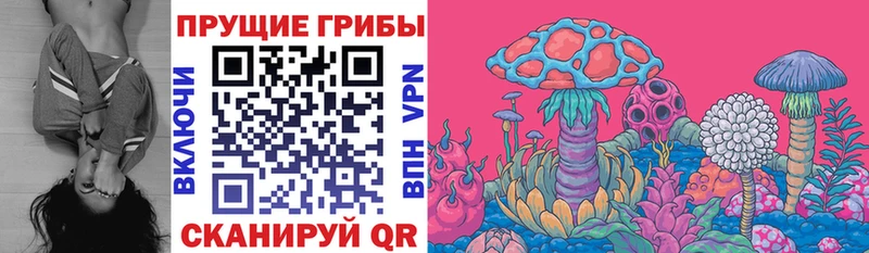 Галлюциногенные грибы GOLDEN TEACHER  Гремячинск 