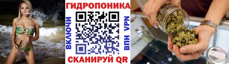 Бошки марихуана ГИДРОПОН  Гремячинск 